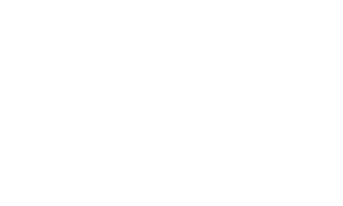 bidoo.png