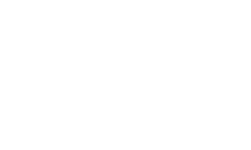 vidal.png