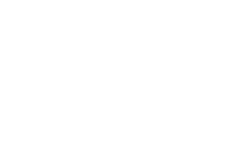vivo.png